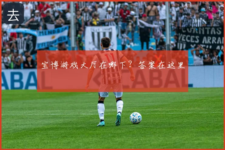 宝博游戏大厅在哪下？答案在这里